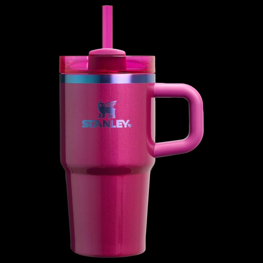 ✨️Stanley Berry Truffle🩷